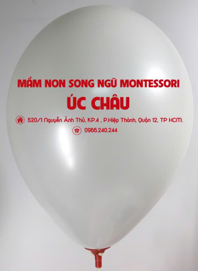 Mẫu 5